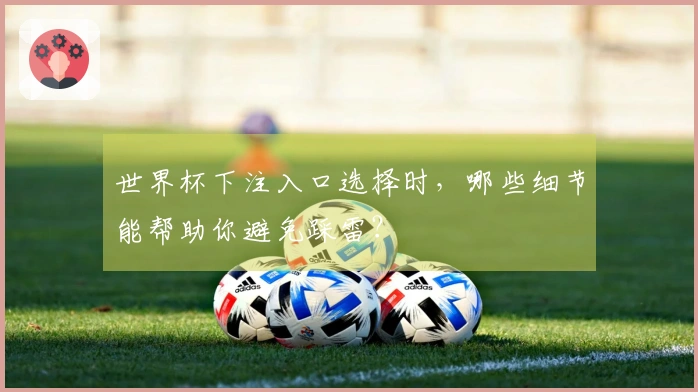 世界杯下注入口选择时，哪些细节能帮助你避免踩雷？