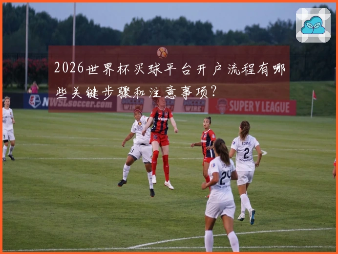 2026世界杯买球平台开户流程有哪些关键步骤和注意事项？