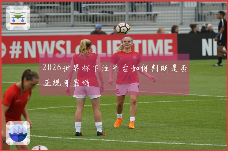 2026世界杯下注平台如何判断是否正规可靠吗