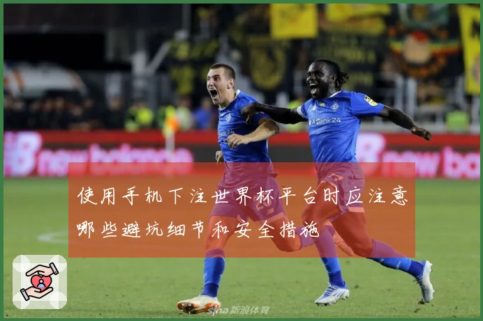 使用手机下注世界杯平台时应注意哪些避坑细节和安全措施